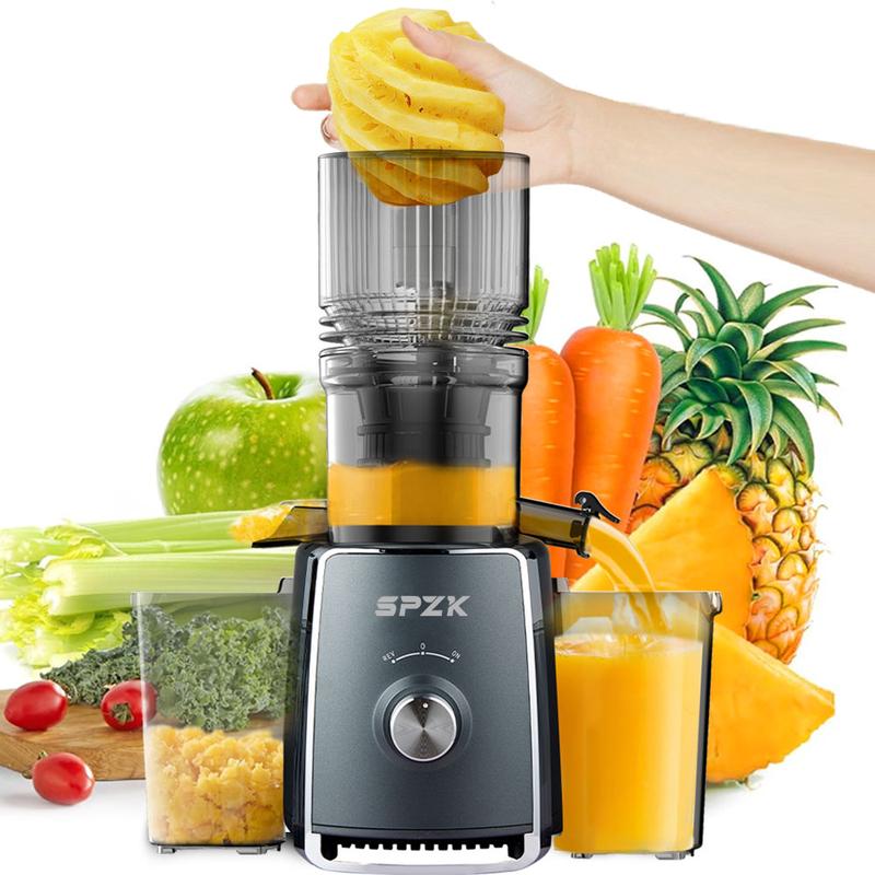 Extracteur de Jus à Presse Froide 300W