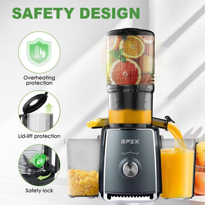 Extracteur de Jus à Presse Froide 300W