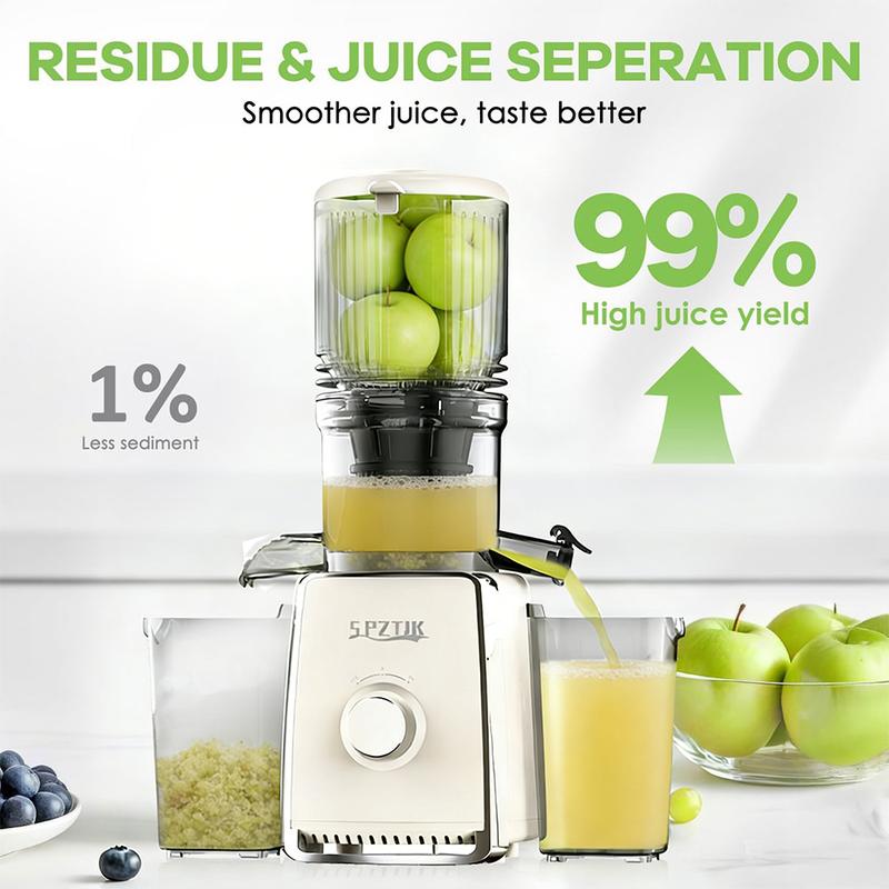 Extracteur de Jus à Presse Froide 300W