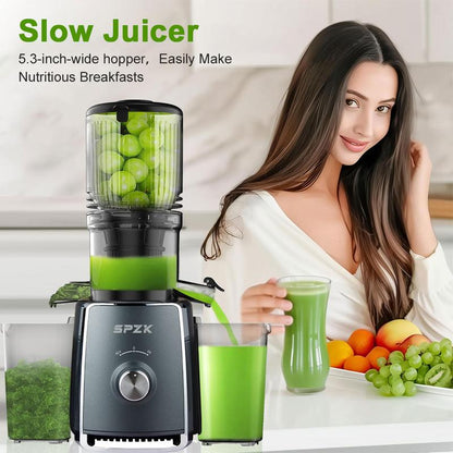 Extracteur de Jus à Presse Froide 300W